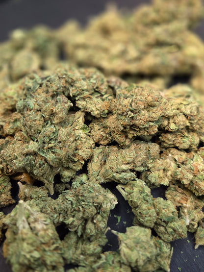 Gelato 41