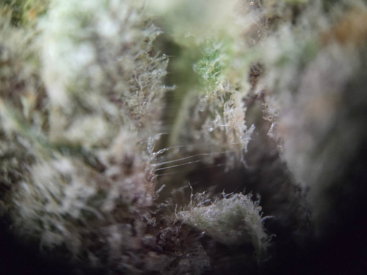 London pound cake SMALLS