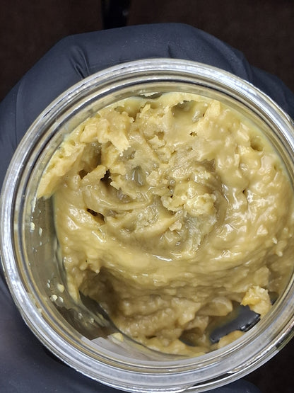 Government Oasis live rosin