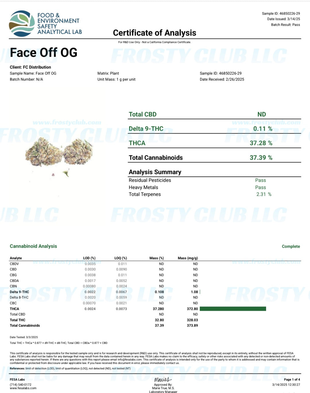 Face-off OG